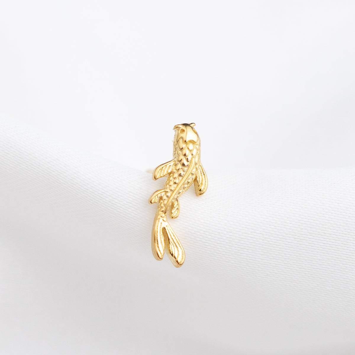 Koi Stud