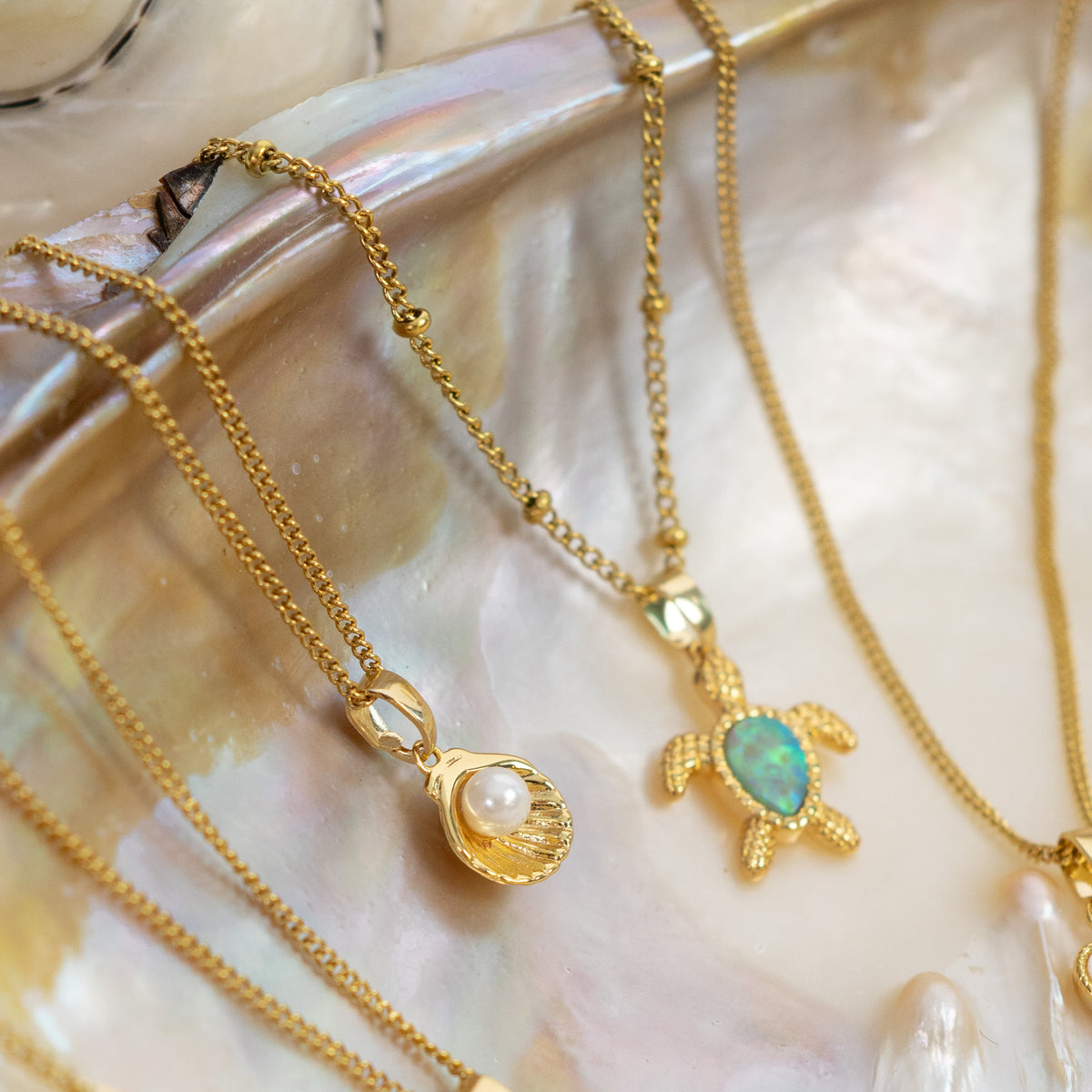 Shell Pearl Necklace