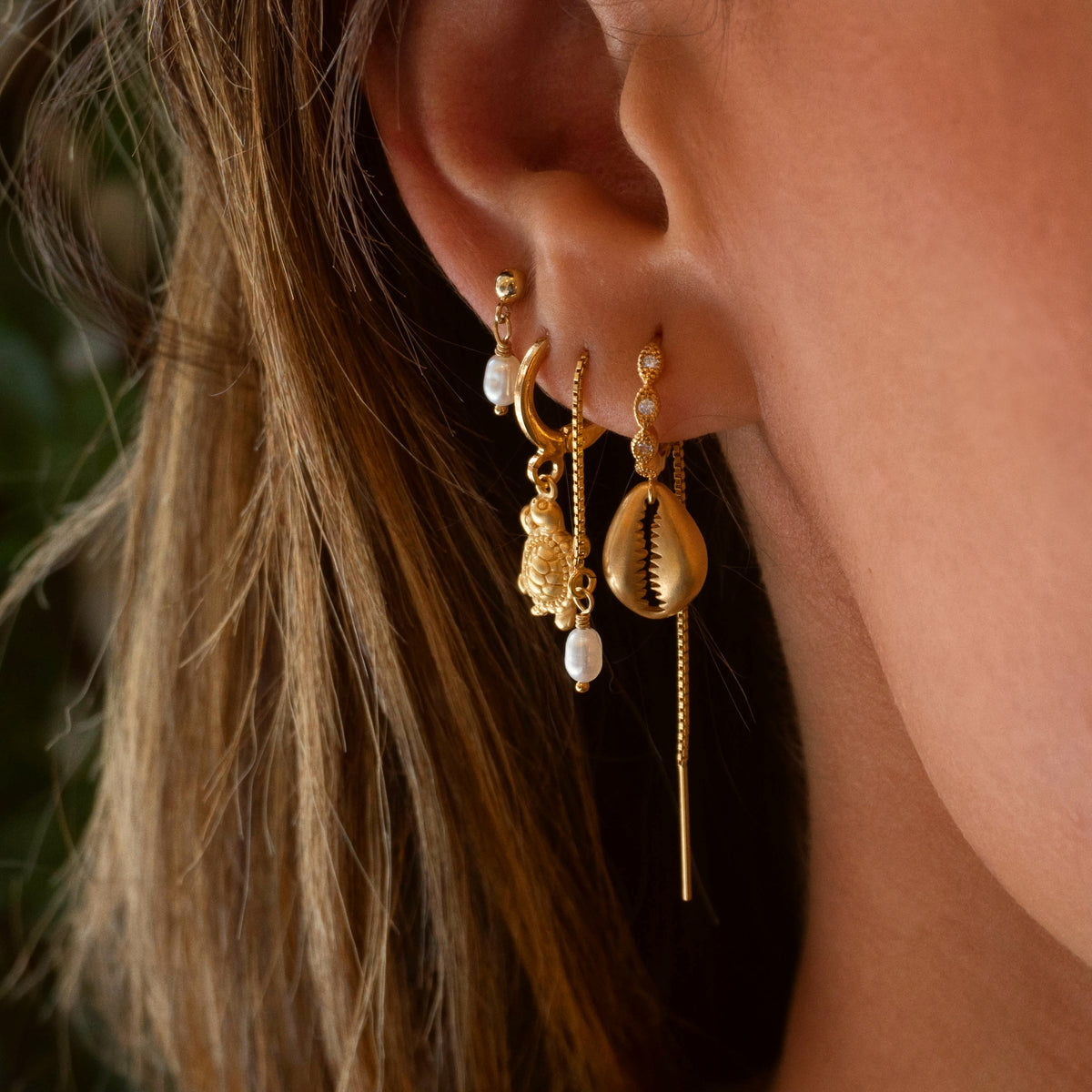 Small Golden Cowrie Earring